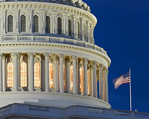 The US Capitol Building